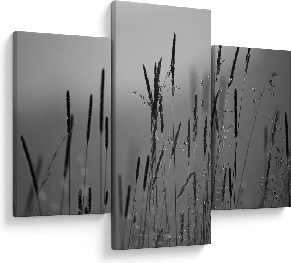 Kép - Fűszálak (90x60 cm)