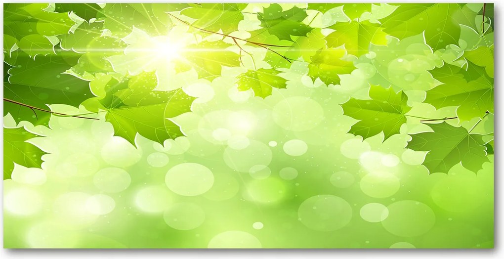 Konyhai panel Vadgesztenye levelek 120x60 Ragasztó