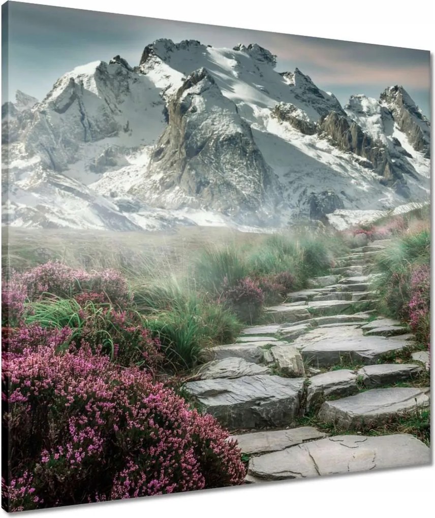 Vászonkép 60x60 Hegyi kilátás Tájkép Köd