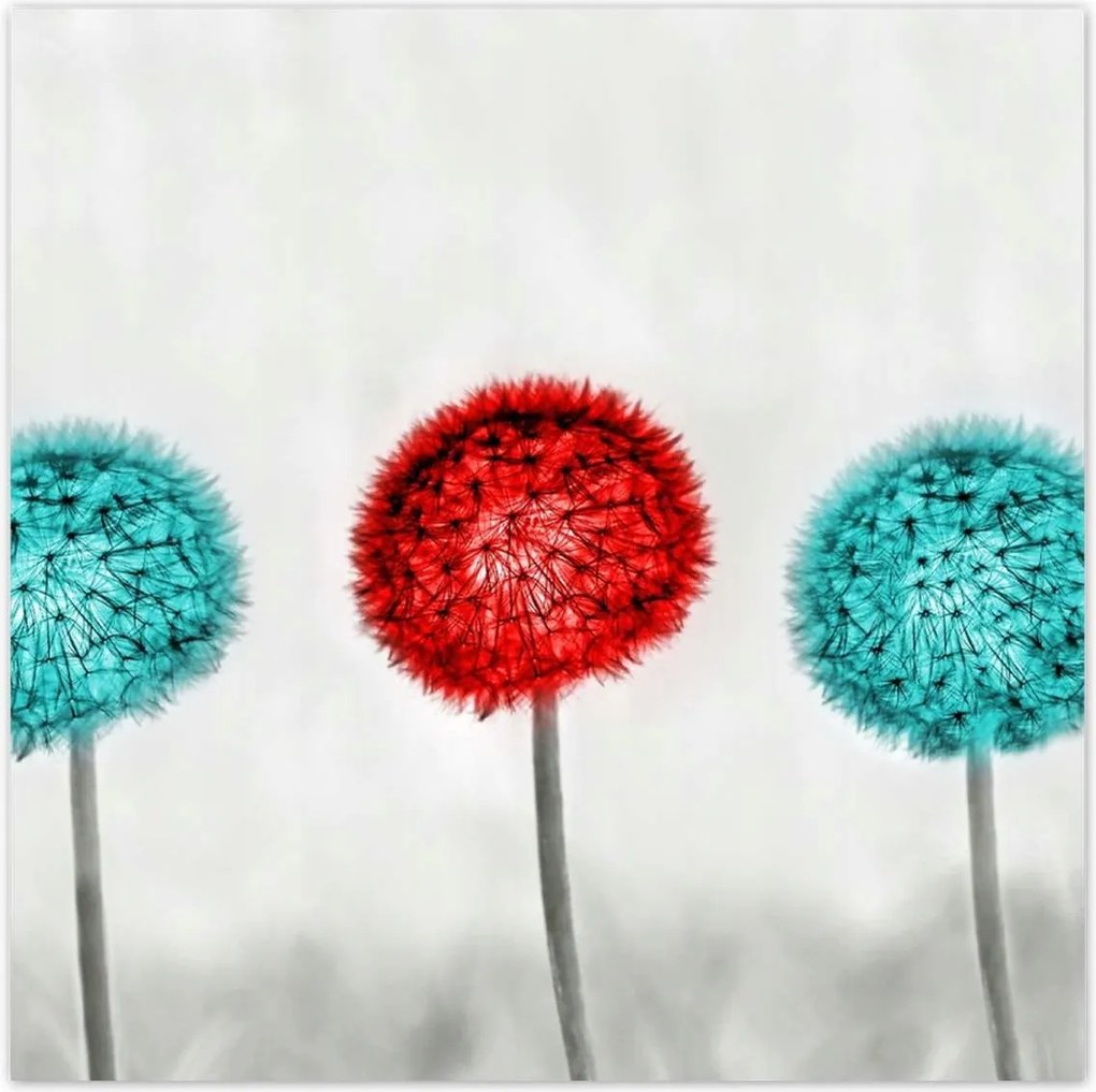 Poszterek 100x100 Piros pitypang