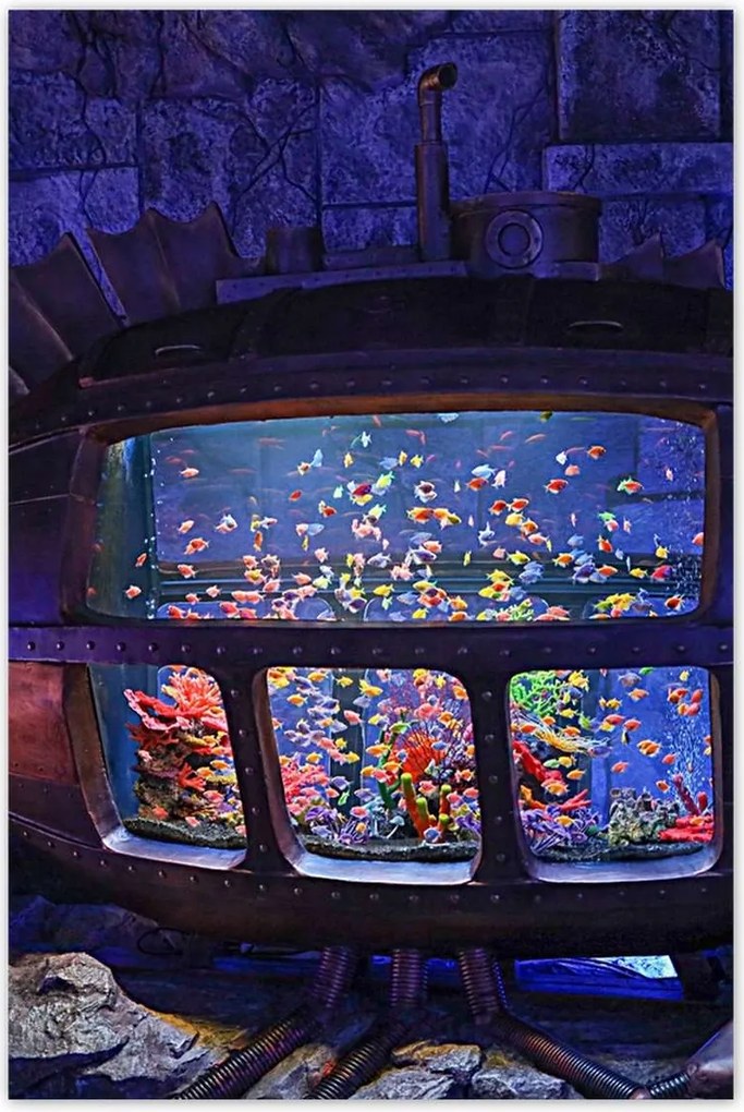 Poszterek 60x90 A halak víz alatti világa