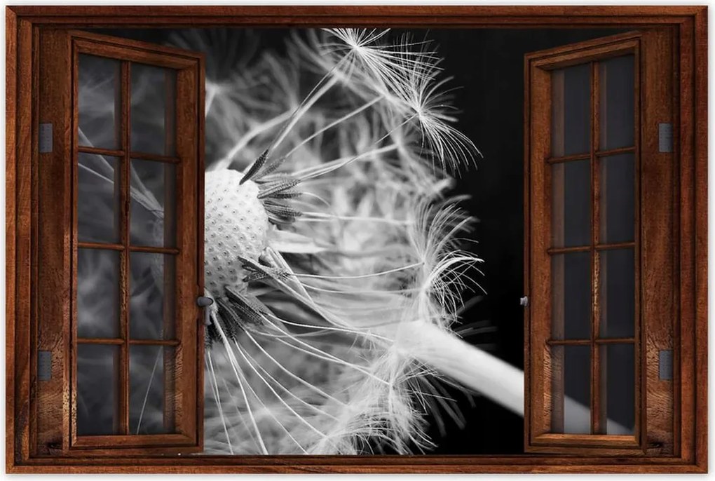 Poszterek 120x80 Pitypang Virág Virágok