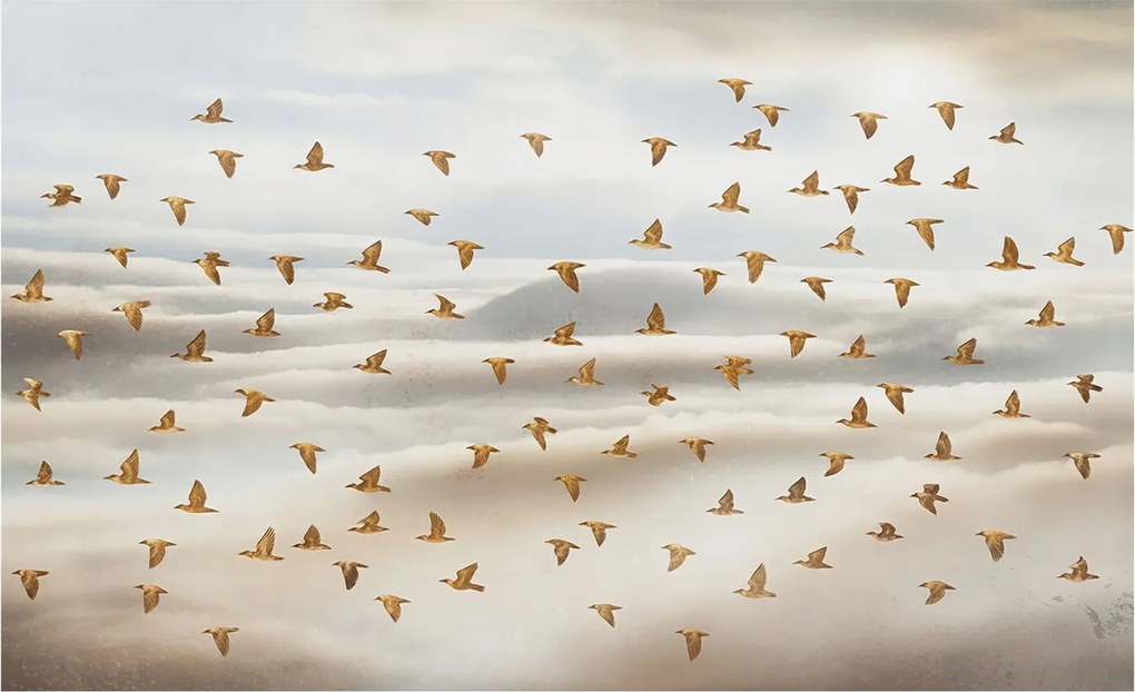 Divatos Flizelin Tapéta Ragasztóval Fali 3D Madarak Repülés 416x254 Ragasztó