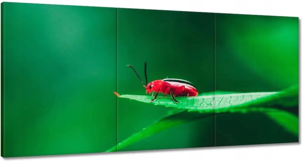 Vászonkép 120x60 Állatok