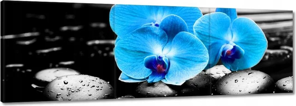 Vászonkép 120x40 Kék orchidea