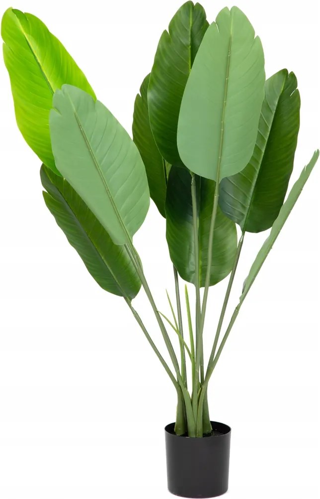 Tropical Zone banánfa szobanövény cserépben 90 cm Homla