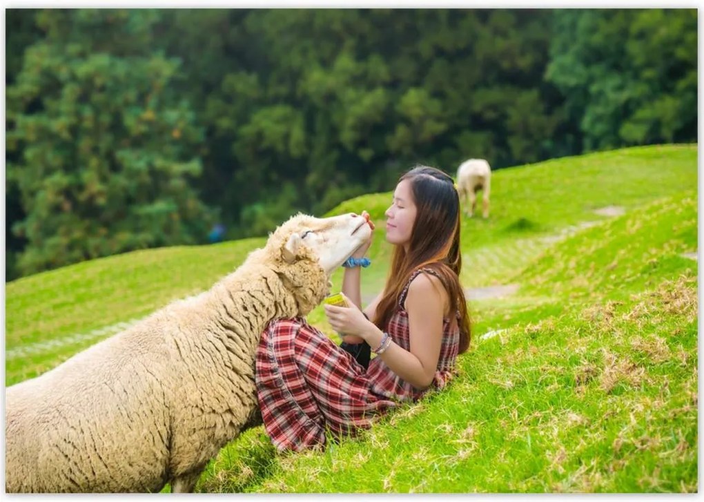 Poszterek 100x70 Az én bárányom Hegyek csarnoka