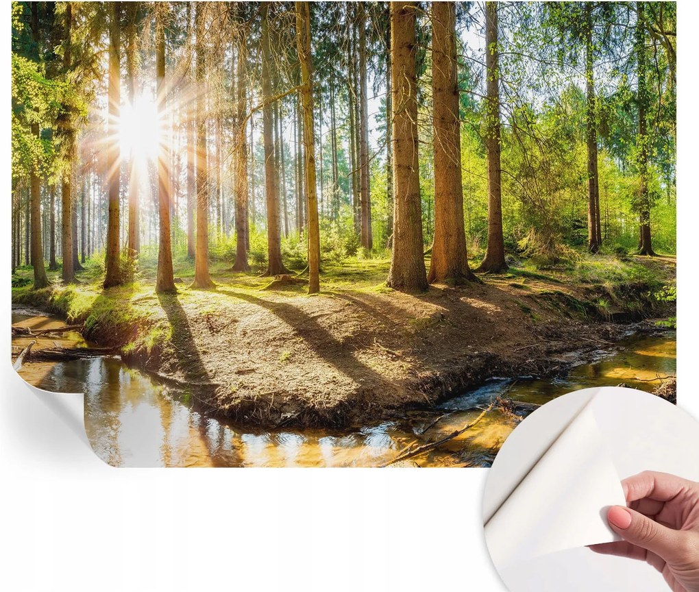 Öntapadós Dekoratív Fotótapéta Hálószobába Erdei idill 312x219 cm