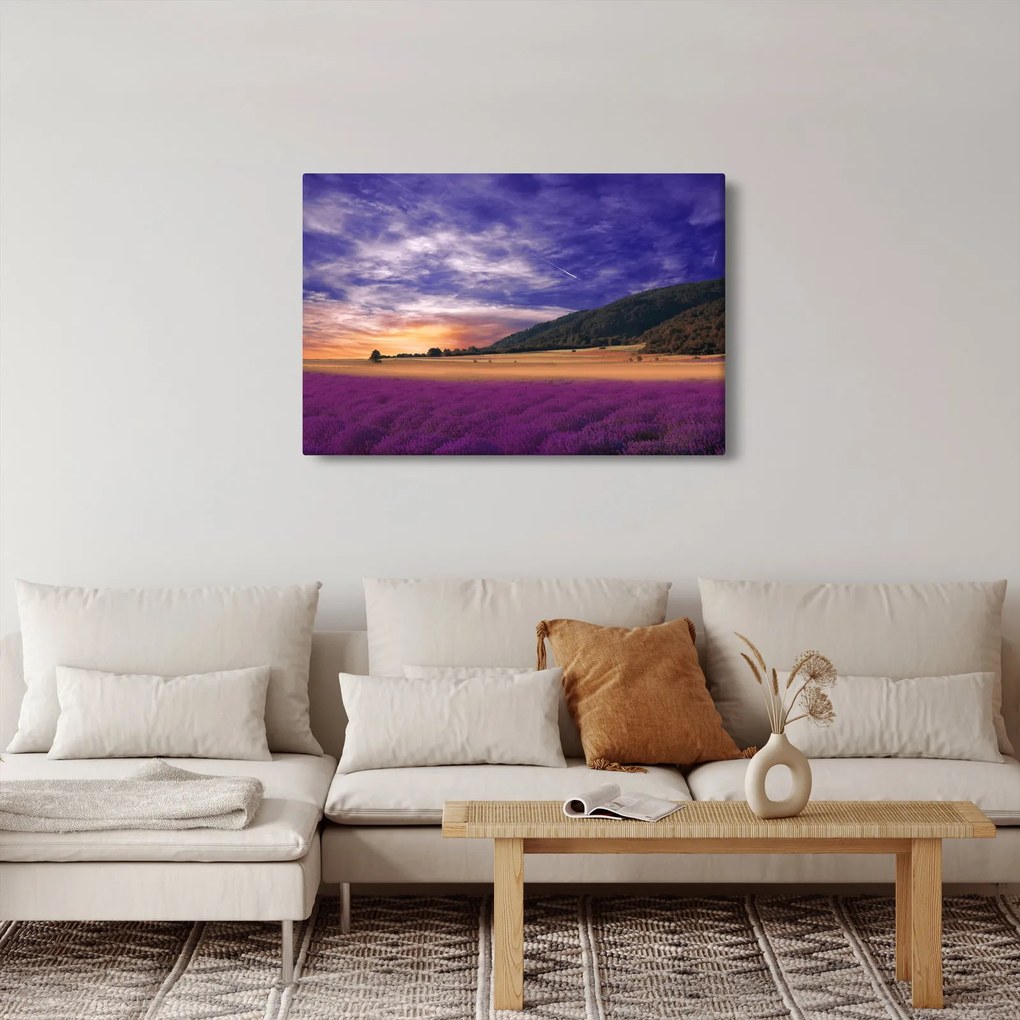 A levendula rét képe (90x60 cm)