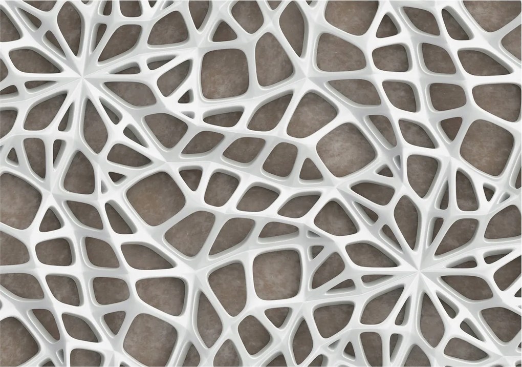 Dekoratív Fali Fotótapéta Falra Geometrikus háló 208x146 Ragasztó