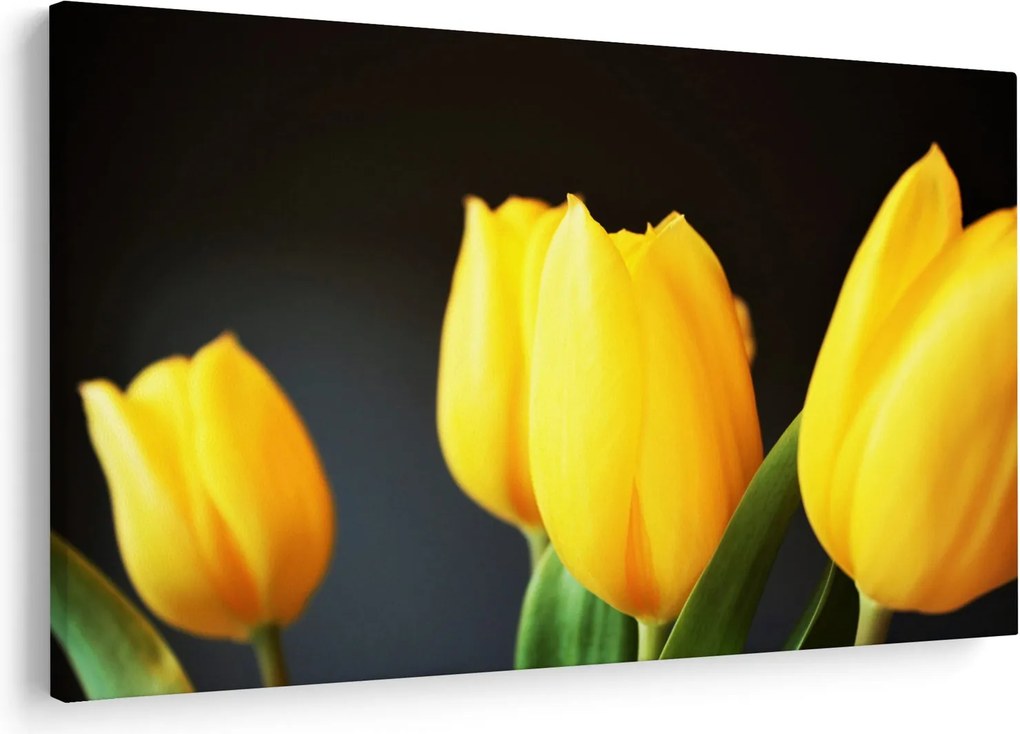 Tulipán képe (90x60 cm)