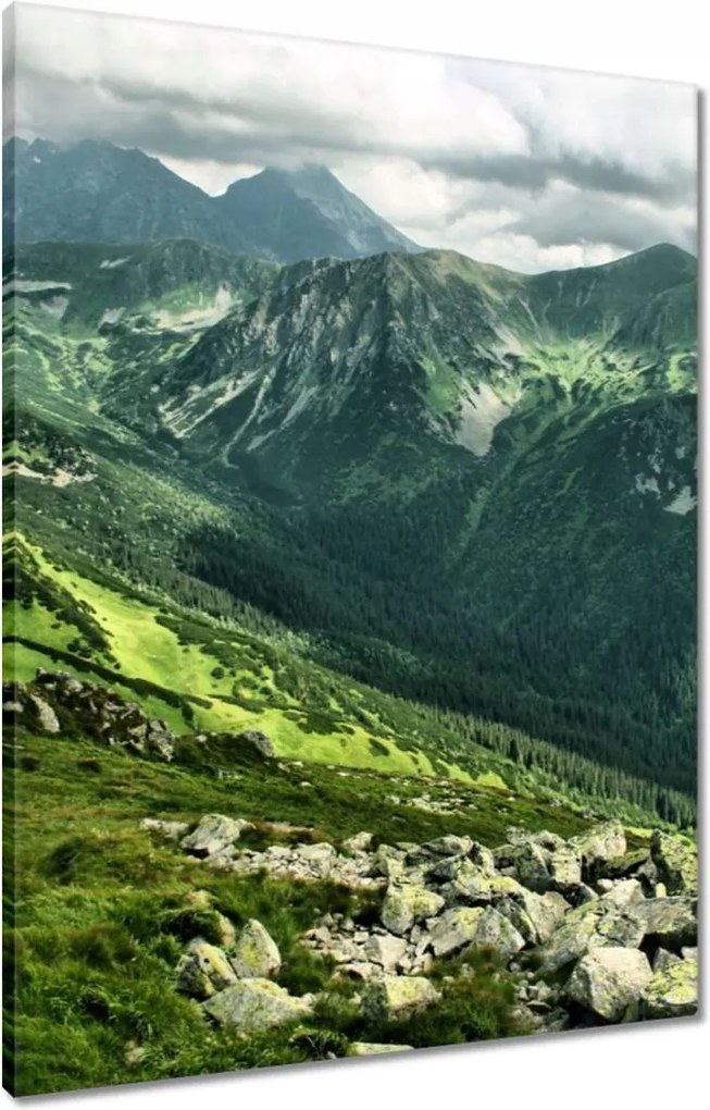 Vászonkép 60x80 Tátra Lengyel hegyek Kilátás