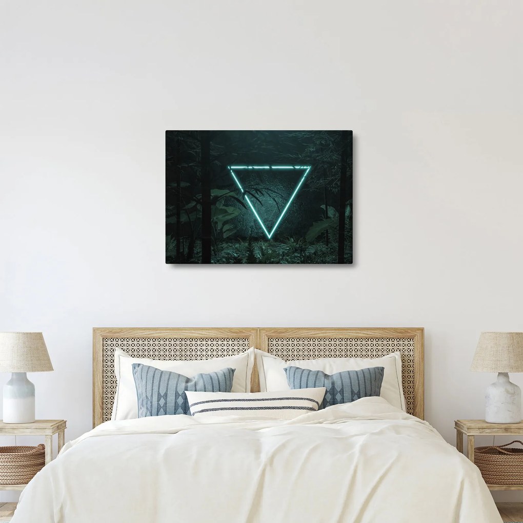 Kép - Neon háromszög a dzsungelben (70x50 cm)