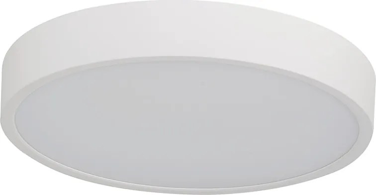 Pandino LED általános mennyezeti lámpa