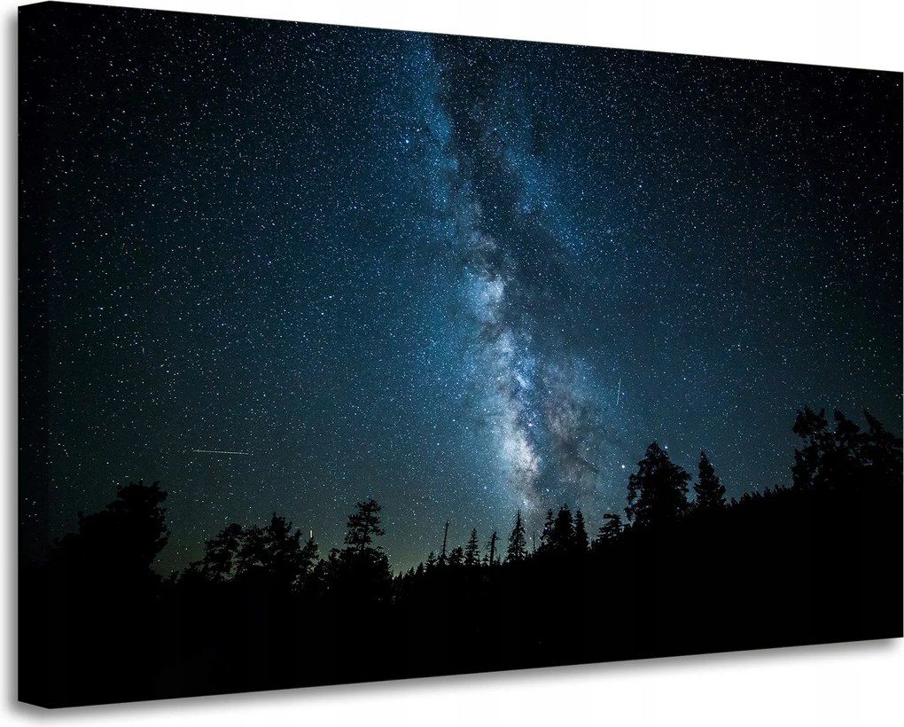 Vászonkép Kozmosz Éjszaka Erdő Köd Természet Csillagászat 90x60