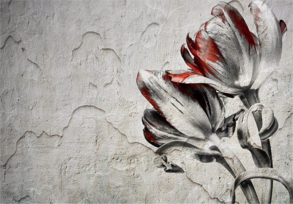Fotótapéta flizelina Tulipán textúra piros ékezetek stílus 250x175 +ragasztó