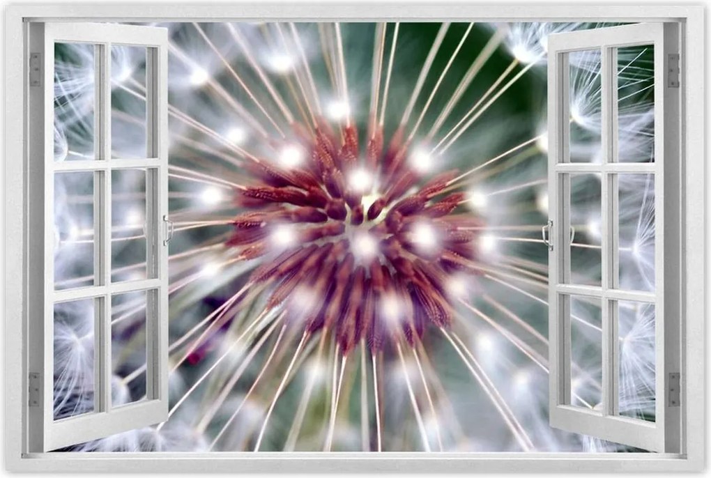 Poszterek 90x60 Pitypang Virág Virágok