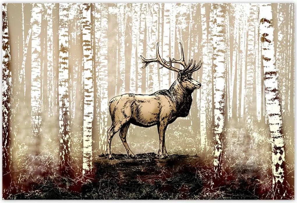 Poszterek 200x135 Szarvas Nyírfa Erdő