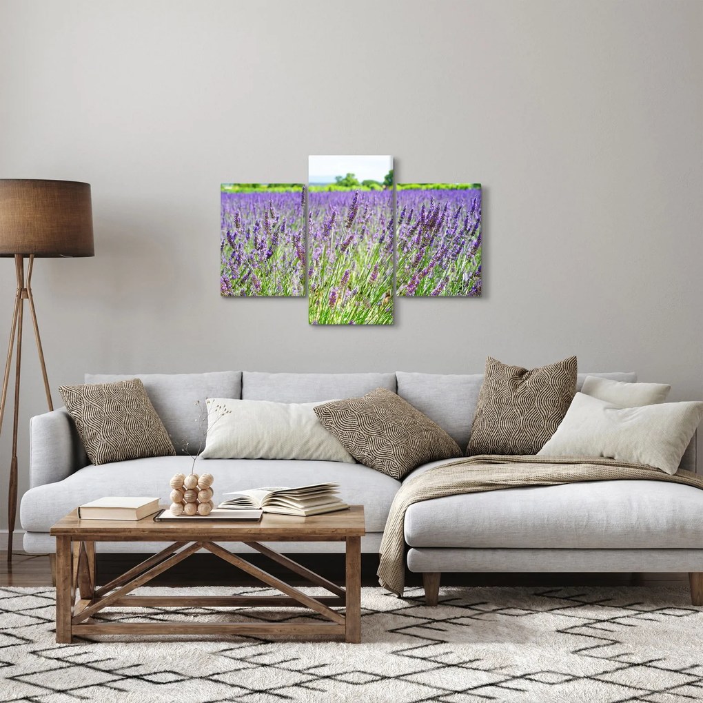 Egy mező képe a levendulával (90x60 cm)