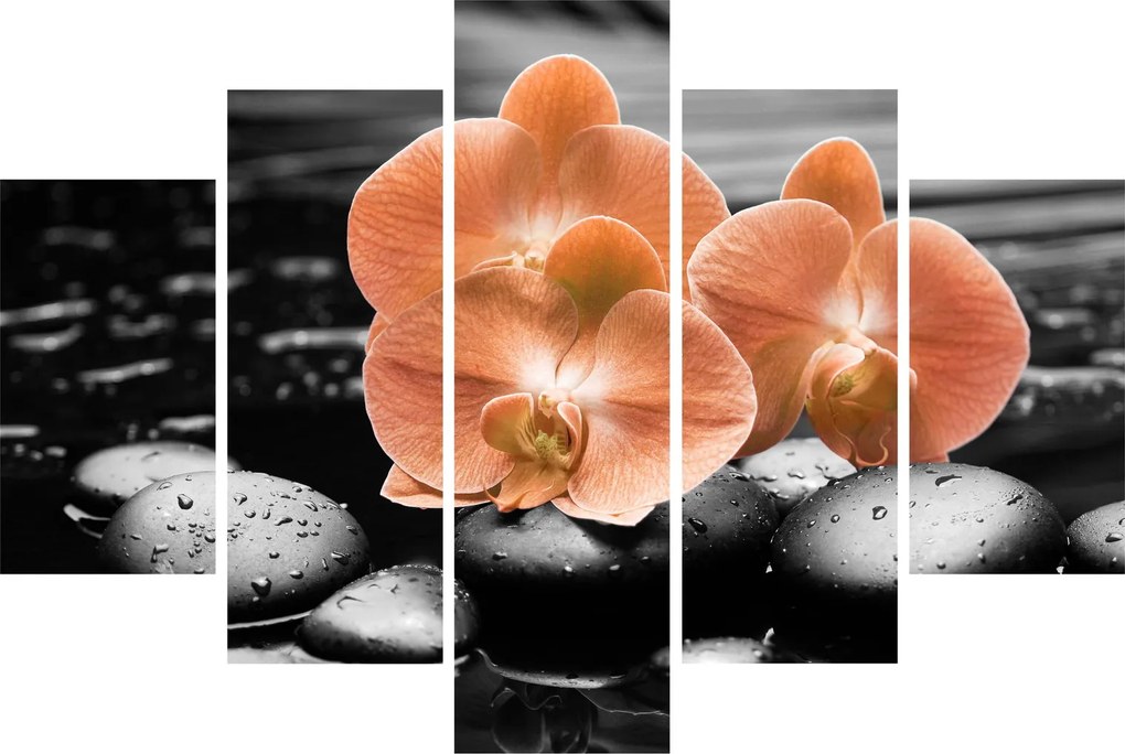 Kép - Narancssárga orchideák (150x105 cm)