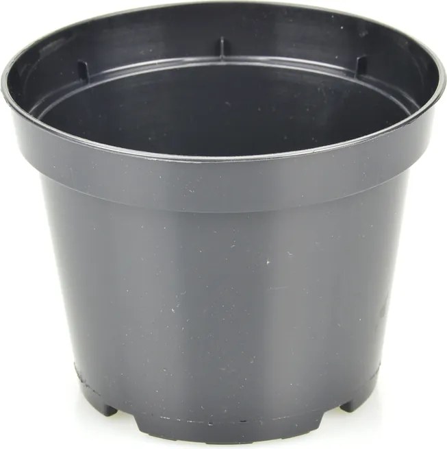 Termelő kaspó kemény 10cm 200db PBN10