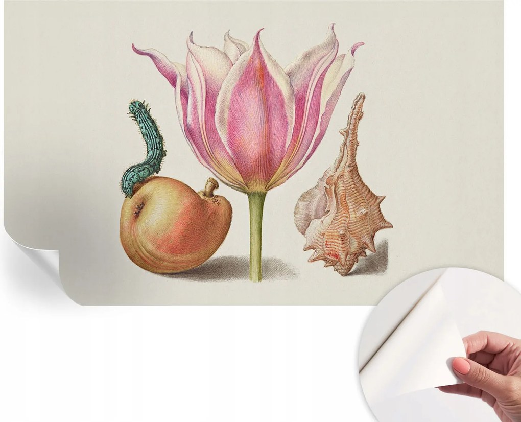 Öntapadós Dekoratív Fotótapéta Hálószobába Természetes szimbiózis 416x254