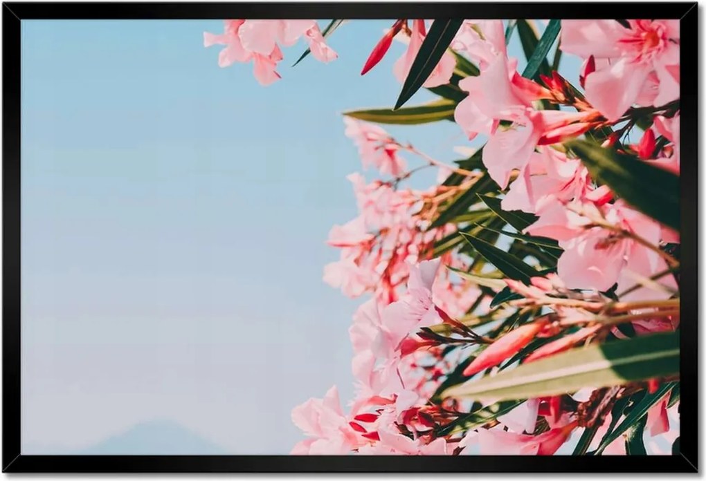 Poszterek keretben 60x40 Virágok