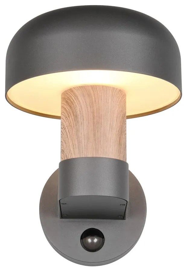 Fali kültéri lámpa (magasság 24,5 cm) Fraser – Trio