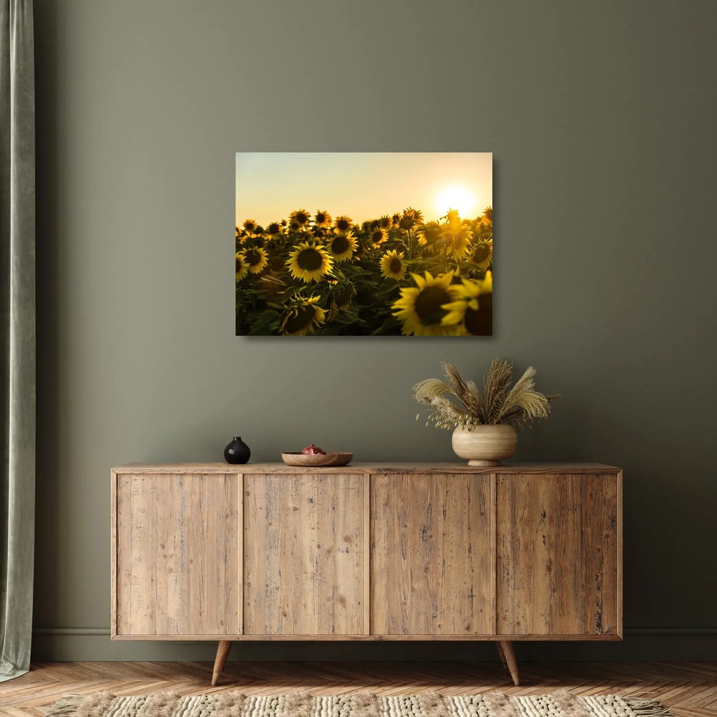 A napraforgó mező képe (üvegen) (70x50 cm)