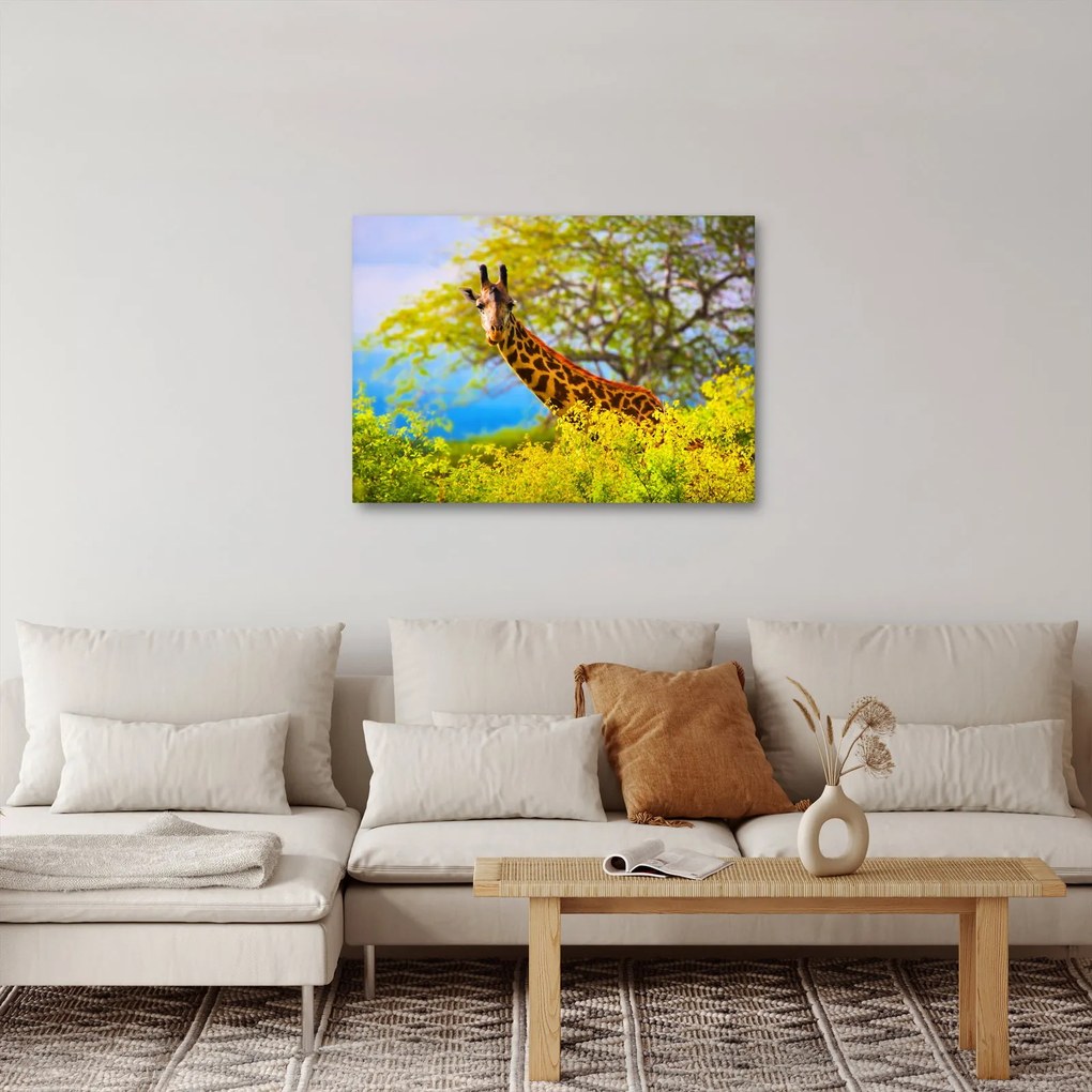 Egy kép egy zsiráfról Afrikában (70x50 cm)