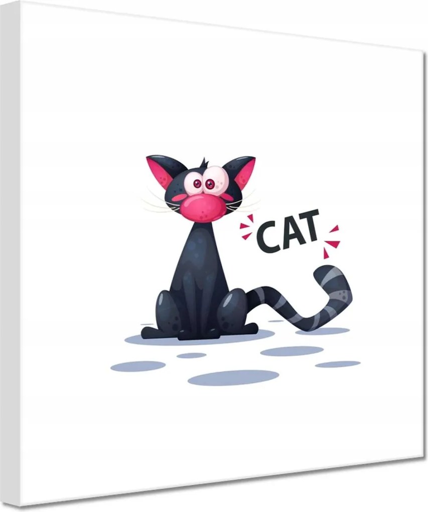 Vászonkép 60x60 Cica