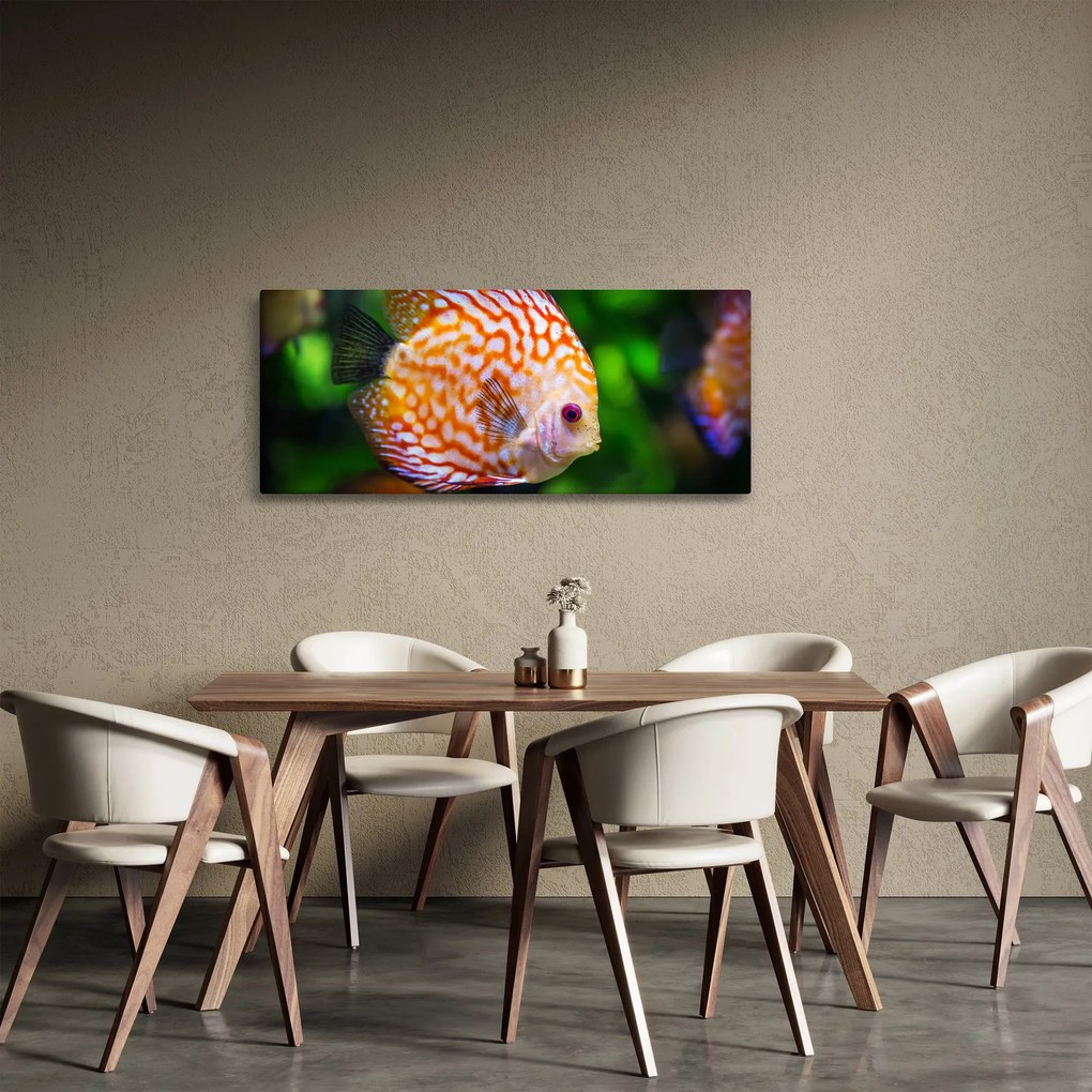 Egy hal képe (120x50 cm)