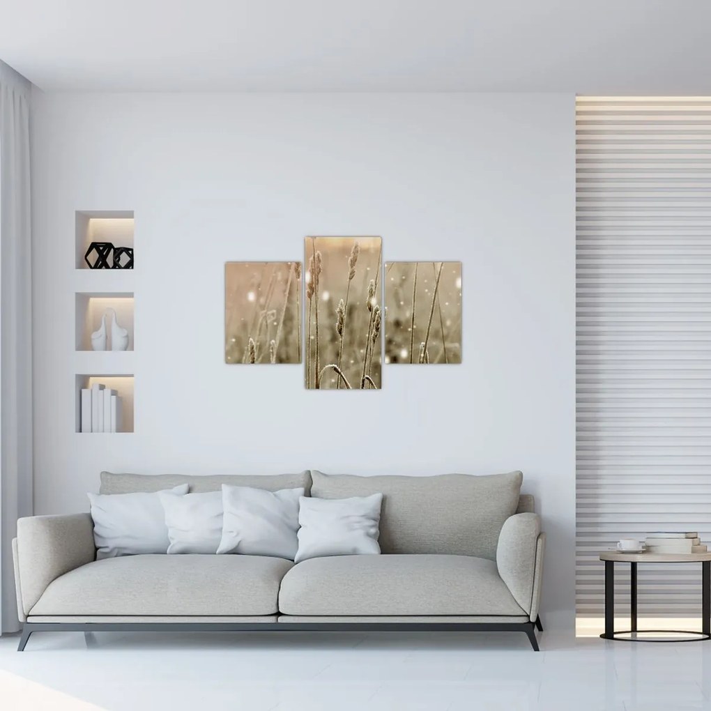 Kép - Harmonikus rét (90x60 cm)