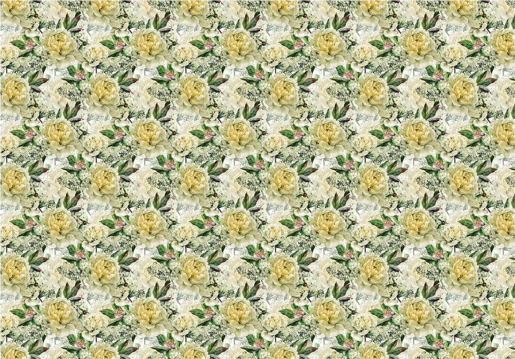 Fotótapéta Bazsarózsa krém sárga finom levelek háttér 350x250 +ragasztó