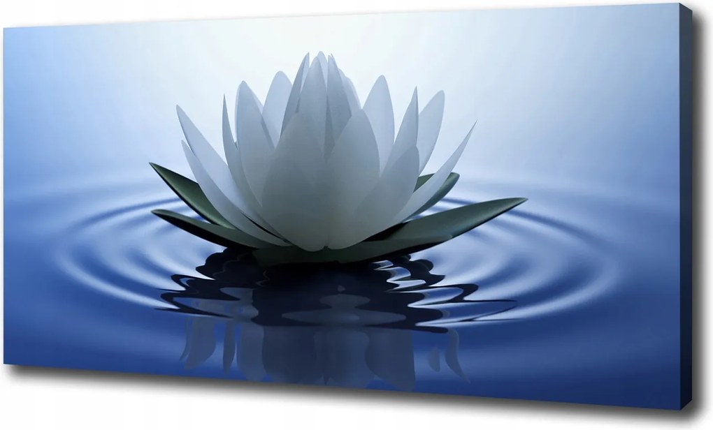 Canvas falikép Vízi liliom 120x60 cm