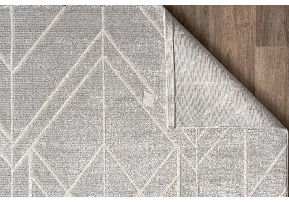 Pastuler 286B modern mintájú szőnyeg (Grey) 200x290 cm