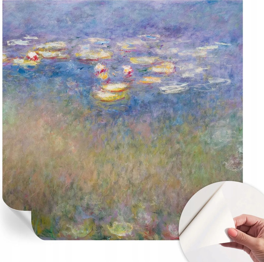 Öntapadós fotótapéta Nappaliba és Hálószobába Vízi liliomok 250x250 cm