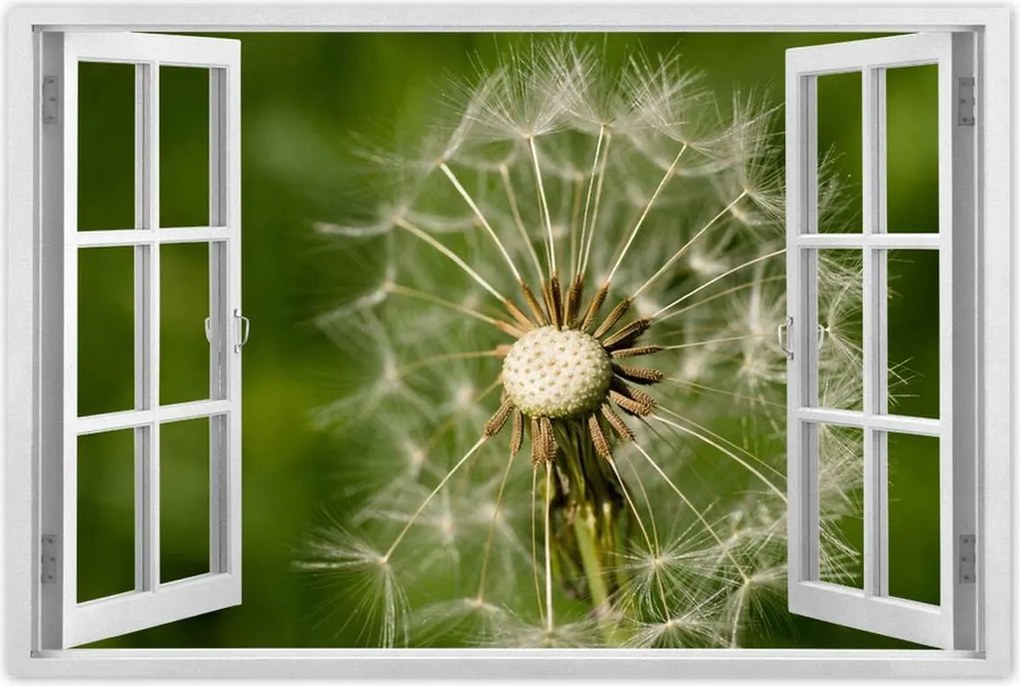 Poszterek 120x80 Pitypang Virág Virágok