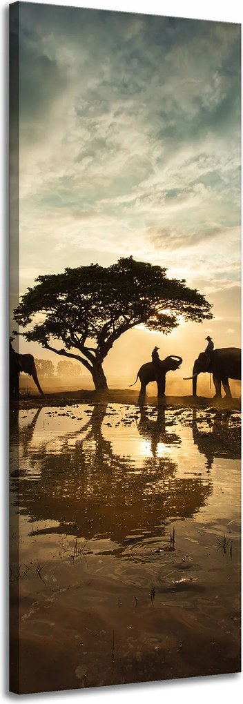 Vászonkép Emberek az elefántokon naplementekor 40x120 cm