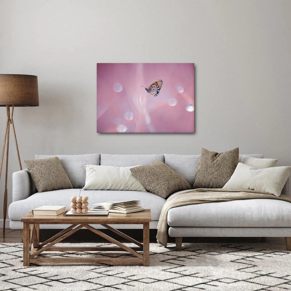 Kép - Pillangó (70x50 cm)