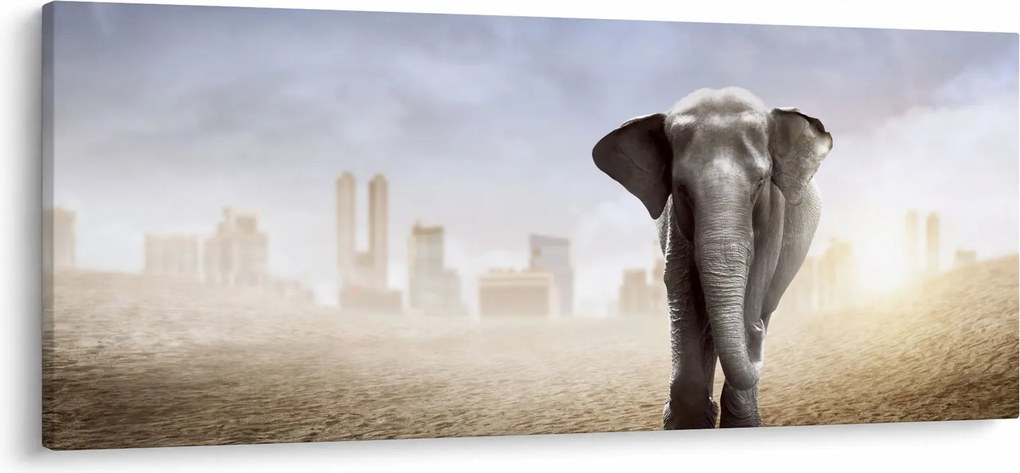 Kép - Elefánt egy nagyvárosban (120x50 cm)
