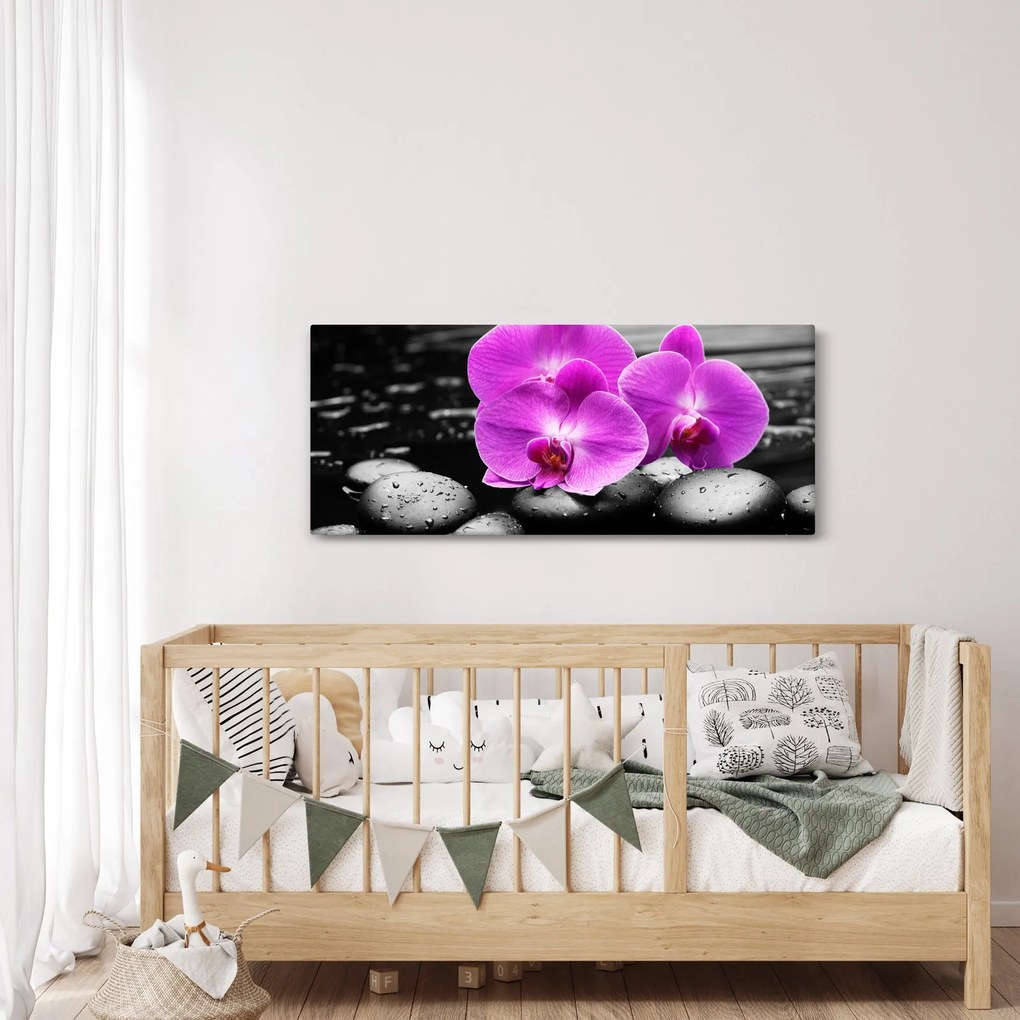 Kép - Lila orchideák (120x50 cm)