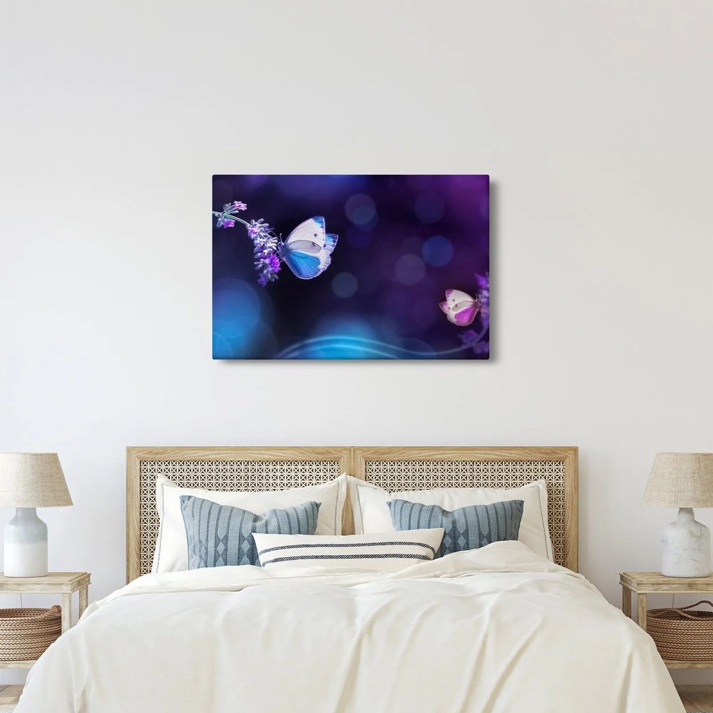 Kép - Pillangók a levendulán (90x60 cm)