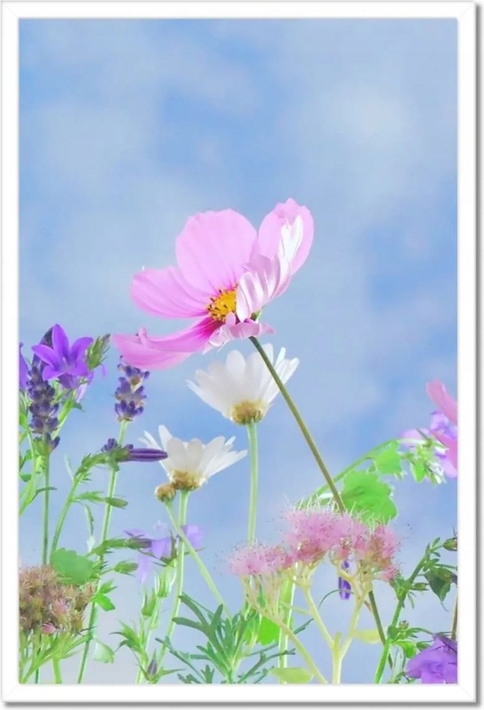 Poszterek keretben 40x60 Finom virágok