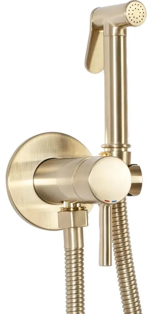 REA-B6311 -Bidé csaptelep kézi zuhannyal, beépített szereléshez LUNGO, szálcsiszolt arany