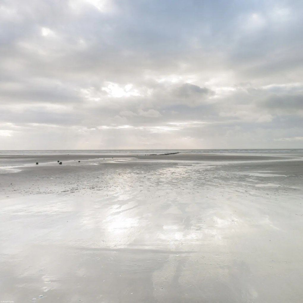 Poszter 40x40cm Naplemente, Assaf Frank