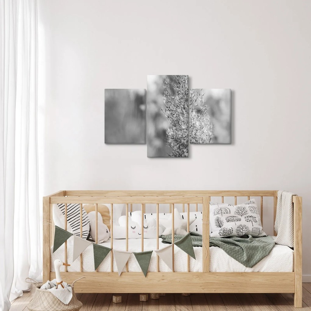 Kép - Boho pampafű (90x60 cm)