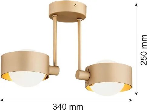 ARGON 7215 MASSIMO PLUS Modern Mennyezeti Lámpa Opál Szőnyeg, Arany G9 IP44
