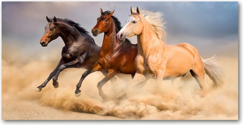 Fotótapéta üvegfalra Lovak a galoppban 140x70