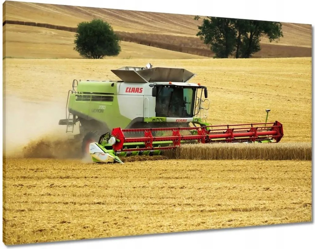 Vászonkép 100x70 Claas kombájn kaszálja az aratást